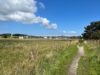 1. Wohnsitz auf Sylt gesucht? Wie wär's mit einem, der sich selbst abbezahlt? - Wanderweg (2)